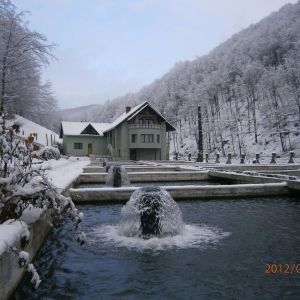 Complex Lostrita