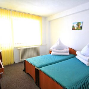 Hotel Bradul
