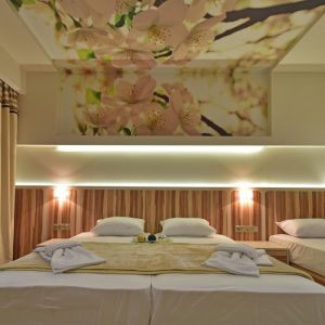 Hotel Dafni Plus
