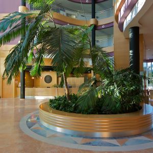 Hotel Albir Playa and Spa
