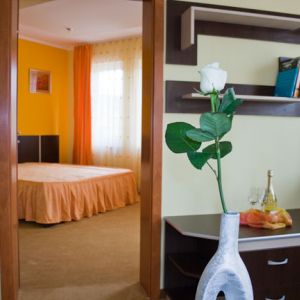 Hotel Silver