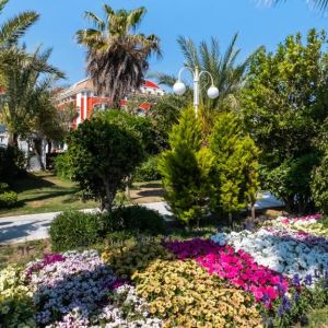 Orange County Belek Family Concept