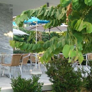 Hotel Dimitris Paritsa