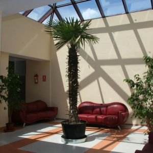Hotel Bradul Vatra Dornei