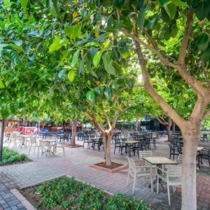 Gardenia Beach Hotel