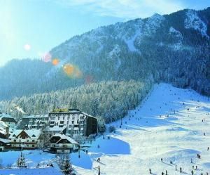Hotel Alpina
