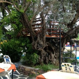 Oasis Hotel (Afandou)