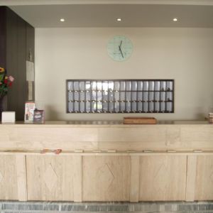 Hotel Dimitris Paritsa