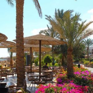 Pickalbatros Royal Grand Sharm Adults Friendly 16 Years Plus