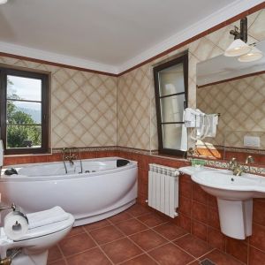 Hotel Conacul Ambient