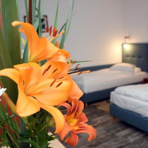 Hotel Sunrise Delta Dunarii