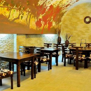 Hotel Clermont Covasna