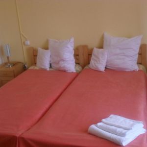 Hotel Pensiunea Gentiana