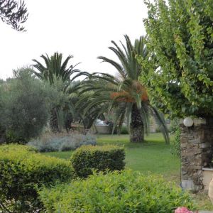 Hotel Porto Matina