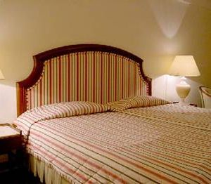 Hotel Diplomatico Vip Executive