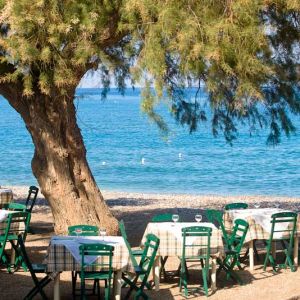 Hotel Alex Beach
