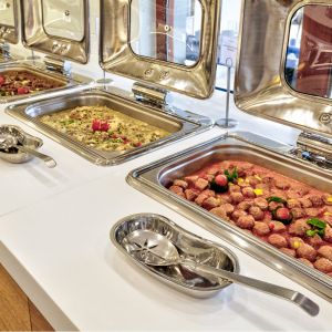 Hotel White Olive Premium Laganas