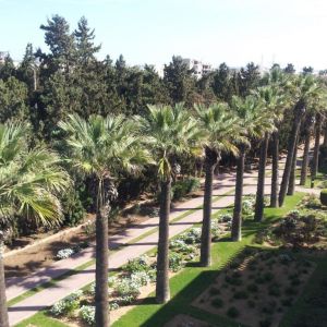 Hotel Calimera Delfino Beach Resort and Spa