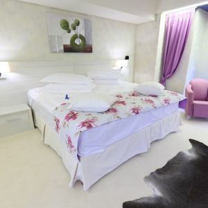 Hotel Ioana Sinaia
