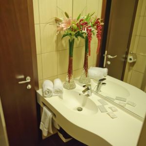 Hotel Bradul Vatra Dornei