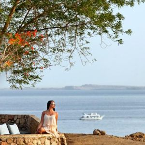 Albatros Sharm Resort By Pickalbatros