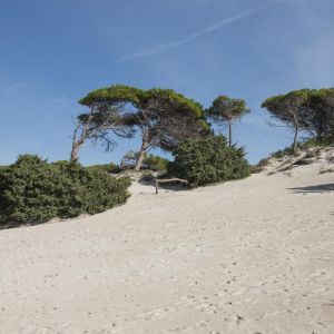 Hotel Oasis Sardinia