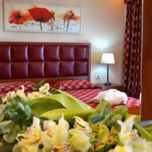 Hotel Ariti Grand