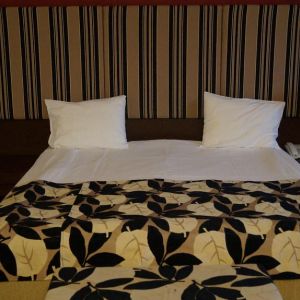 Hotel Wolf2