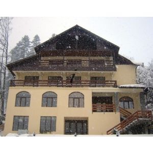 Hotel Pensiunea Andree