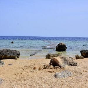 Monte Carlo Sharm Resort and Spa