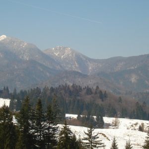 Pensiunea Radu