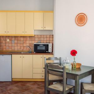 Iliana Apartments and Hotel