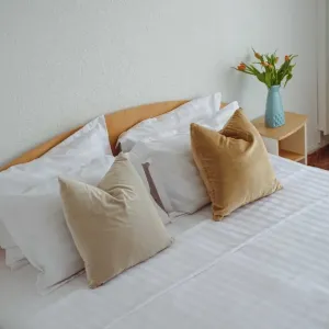Hotel Cerna