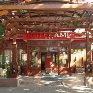 Hotel Ami Baile Felix