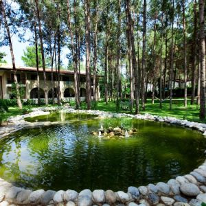 Champion Holiday Village
