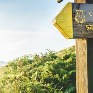 El Camino - O data in viata