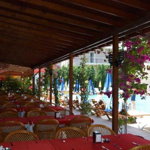 Hotel Grand Viking