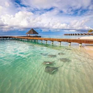 Sun Siyam Vilu Reef