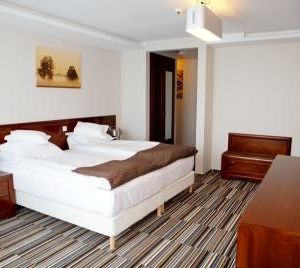 Hotel Belvedere Botosani
