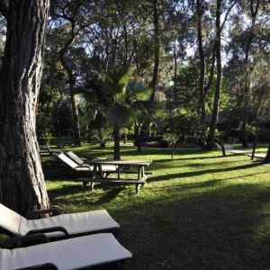 Hotel Armas Kaplan Paradise