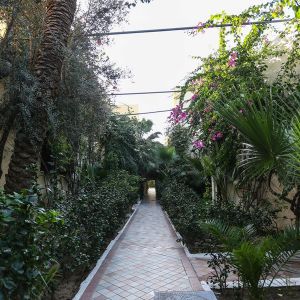 Paradis Palace