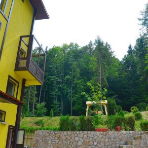 Hotel Tisa