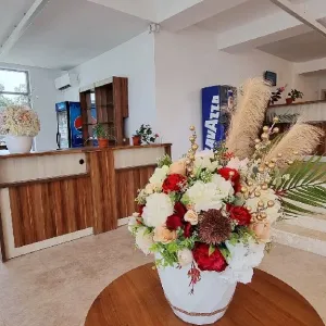 Hotel Diana Eforie N