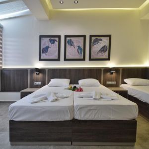 Hotel Dafni Plus