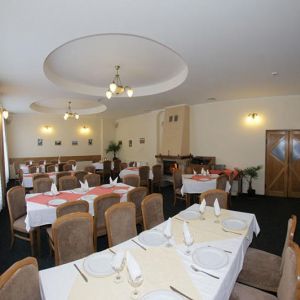 Hotel Paltinis Borsa