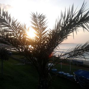 Hotel Ariadne Beach