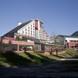 Hotel Piatra Mare