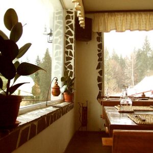 Complex Panoramic Holiday