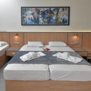 Hotel Dafni Plus