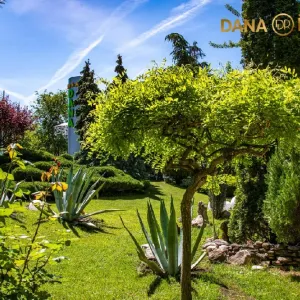 Hotel Dana Resort Venus